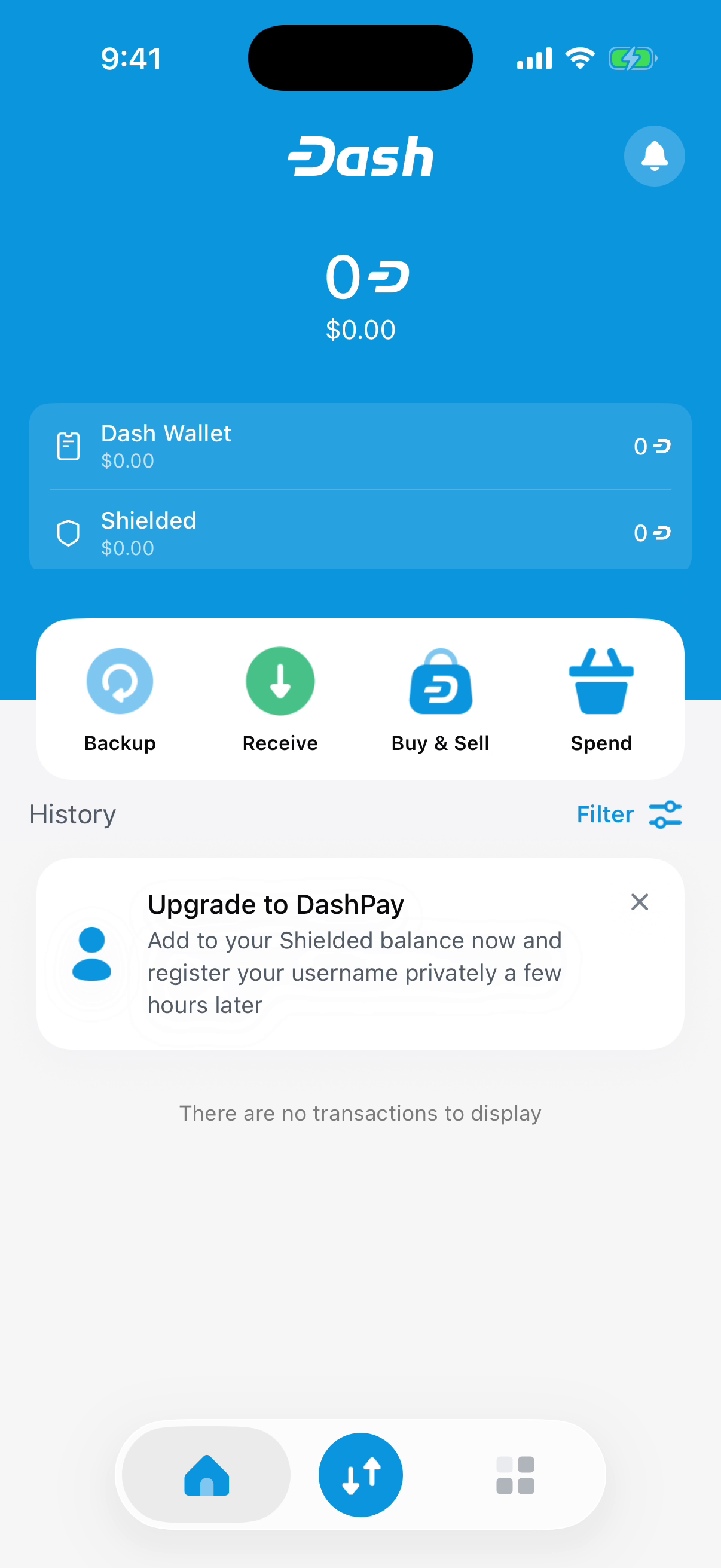 Dash Wallet iOS: Wallet balance and history.